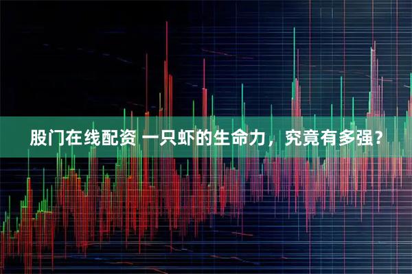 股门在线配资 一只虾的生命力，究竟有多强？